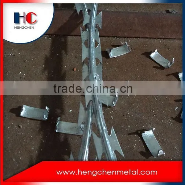 Barbed Wire Mesh Roll Price Fence photo-4
