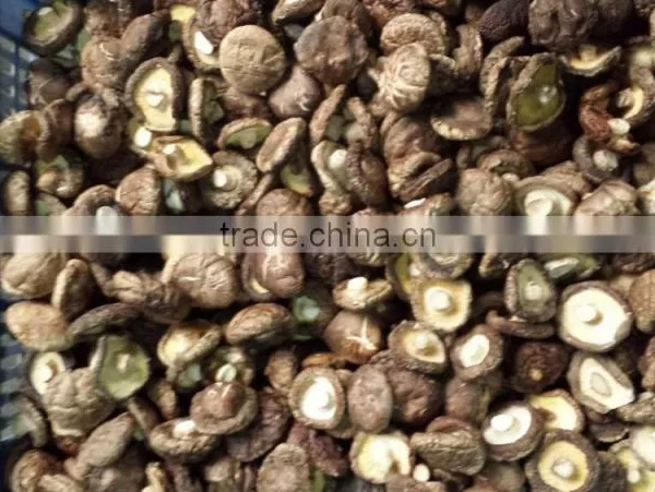 Shiitake Mushroom Slice photo-5