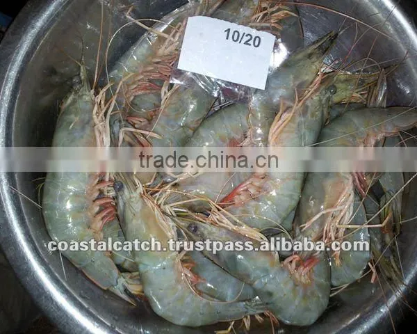WHITE SHRIMPS