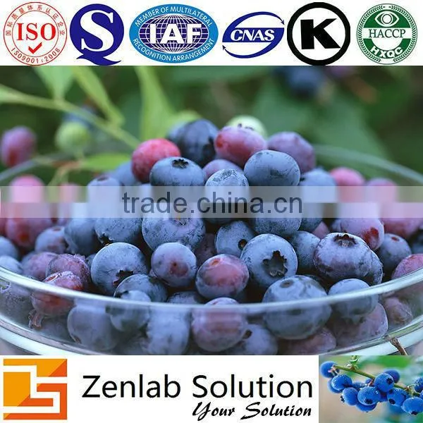 Europe Bilberry Extract, Bilberry P.e