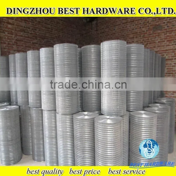 Low Price 2*2inch Galvanized Welded Wire Mesh Factory photo-5