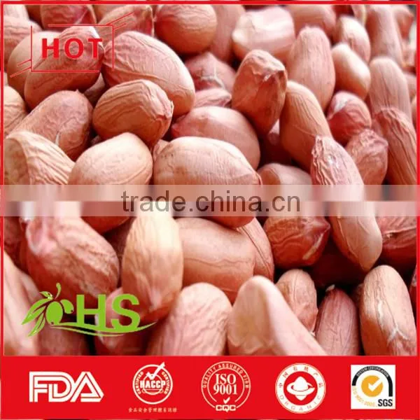 Round/long Size Red Skin Peanut Kernel photo-6
