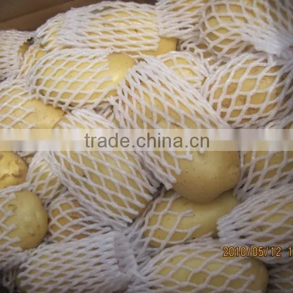 New Crop Fresh Potato photo-4