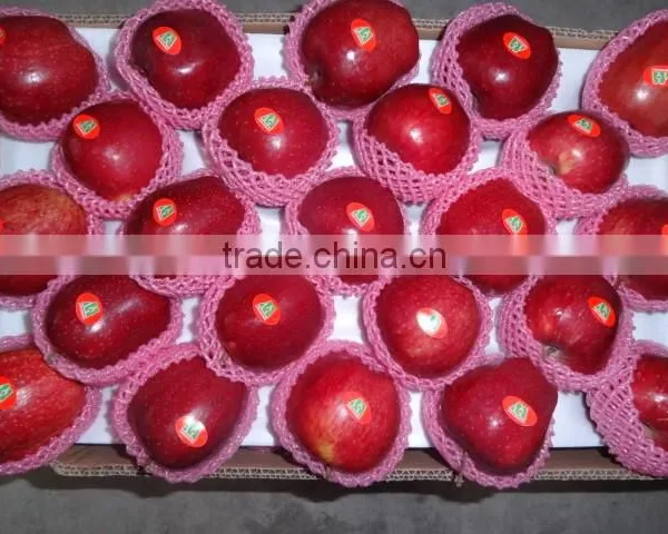 HUANIU APPLE photo-2