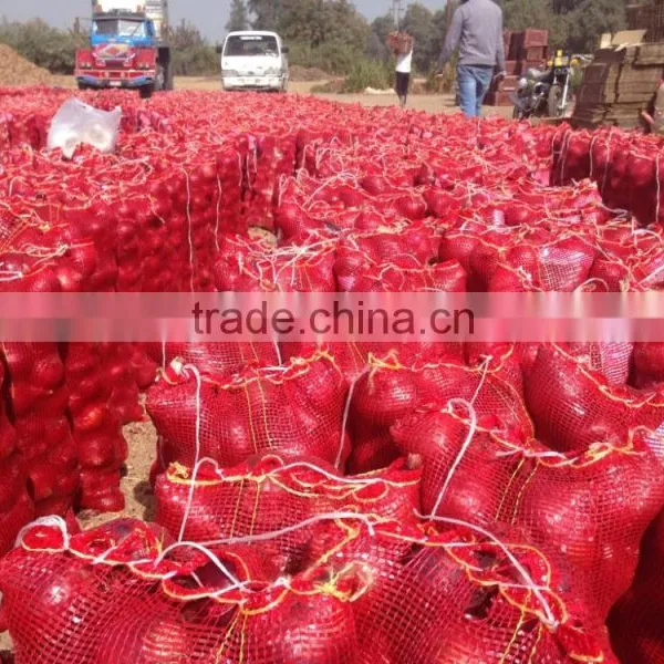 LOWEST PRICE / GOOD PRICE RED ONIONS FROM EGYPTIAN FARMER DIRECT