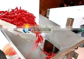 Industrial Large Type Garlic Grinding Machine photo-5