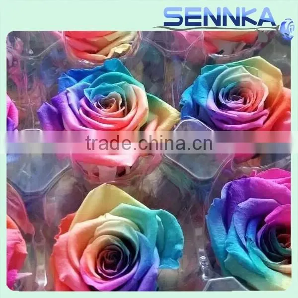 Multicolor Preserved Rose Rainbow Roses Real Touch Preserved Rose photo-3