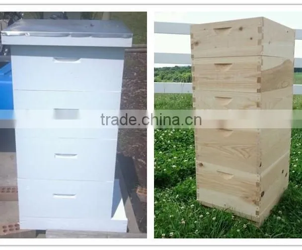 2016 Hot Sale Beehives for Beekeeping photo-6