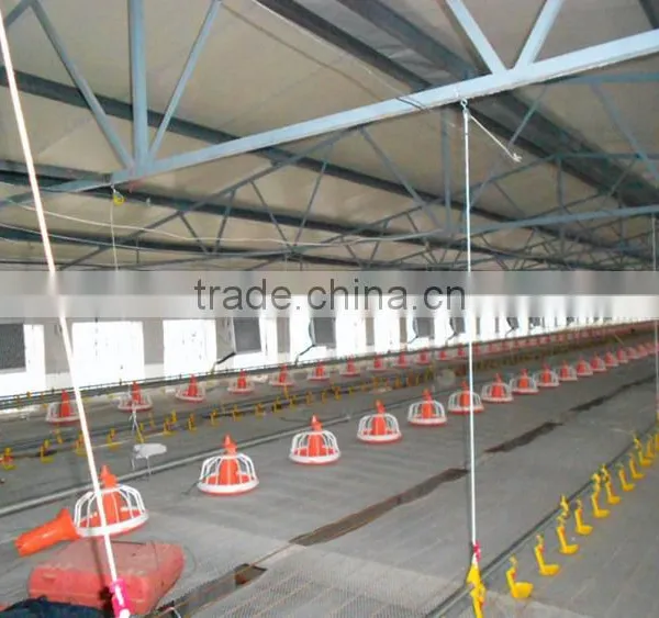 Poultry Automatic Feeding System photo-3