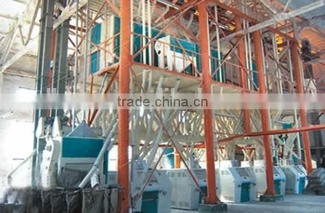 Professional Low Price Flour Mill Plant in China With Different Output photo-5
