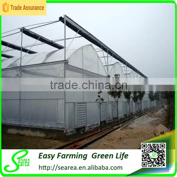 Galvanized Steel Structure Glass Cover Used Commercial Greenhouses photo-2