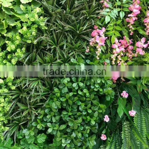 SJ0409027 Plant Climbing Walls Plastic Plants Wall/vertical Green Wall Garden photo-2