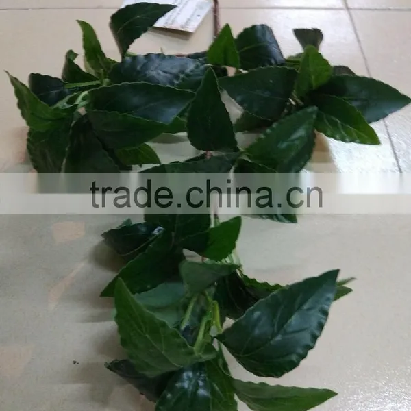 CHY070908 High Quality Tree Leaves/Bay Leaf Craft/bay Leaf Production photo-2