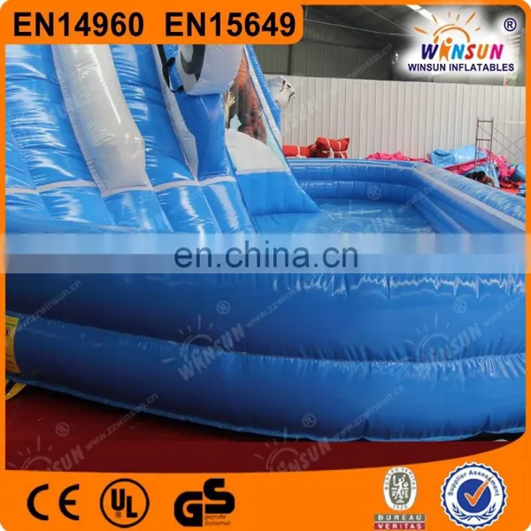 Inflatable Jumbo Water Slide Inflatable Slide for Pool photo-2