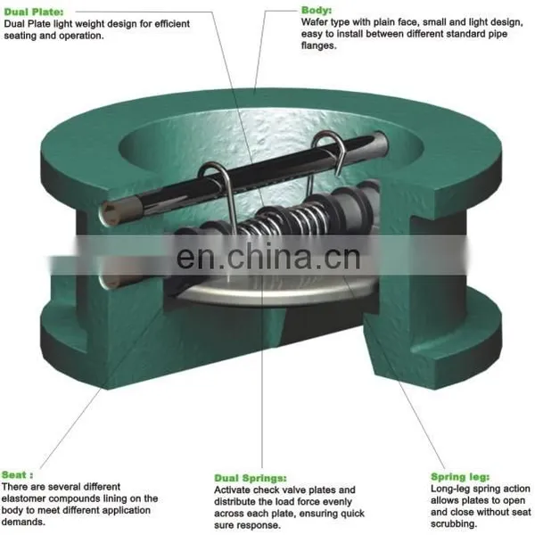 Hot Selling Double Plated DH77X Cast Iron Wafer Check Valve photo-5
