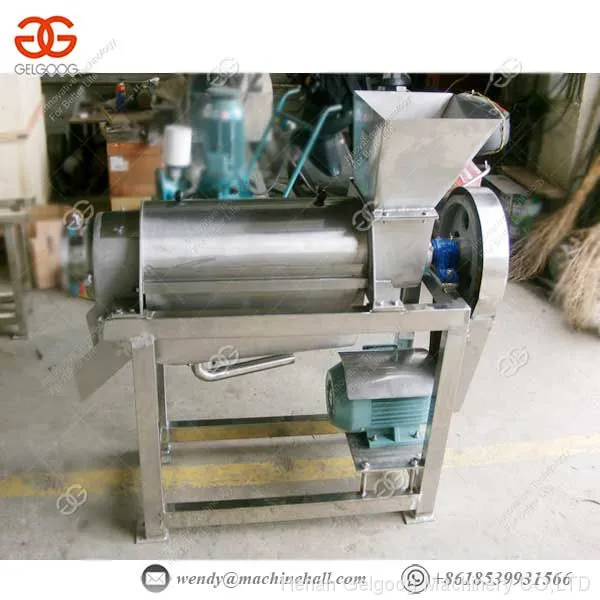 Industrial Pineapple Mango Juicer machine Processing broken system