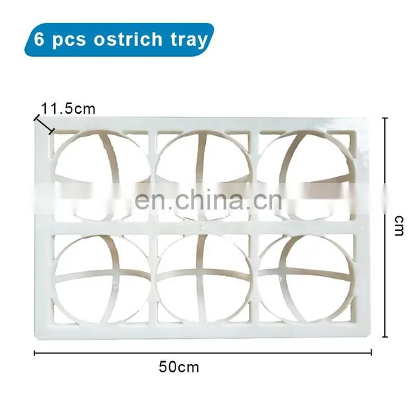 Incubator Egg Trays/poultry Egg Trays/pigeons Egg Tray photo-6