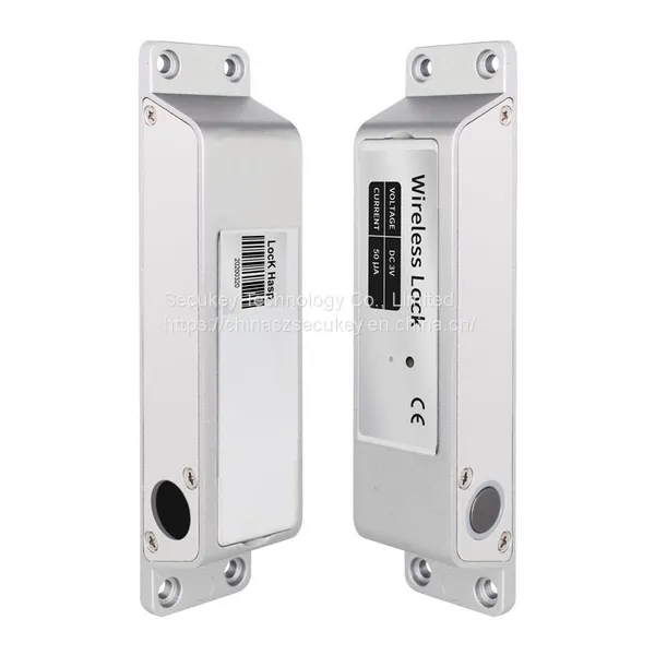 Factory Price 433MHz Wireless Biometric Fingerprint Access DIY Door Lock Access Control Products photo-2