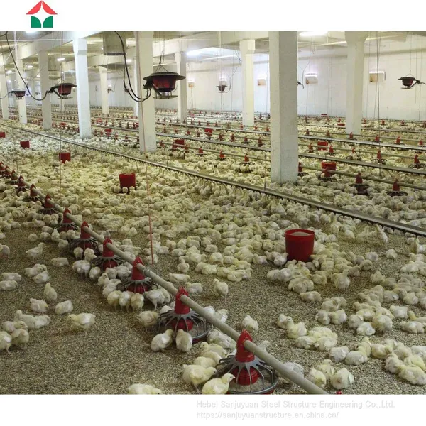 Chicken Broiler Houses photo-5
