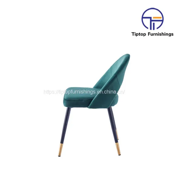 Tiptop Modern Designer Luxury Furniture Fabric Effie Dining Chair for Living Room Furniture Lounge Chair photo-3