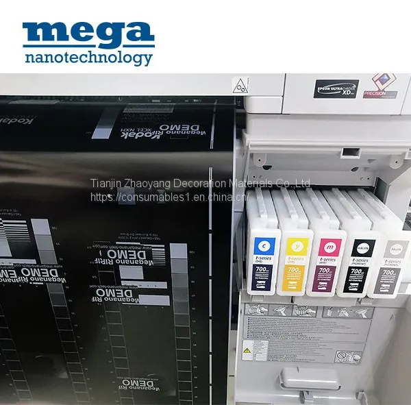 Extra Black Film Plate Burning EPSON T Series Ink Cartridge photo-3