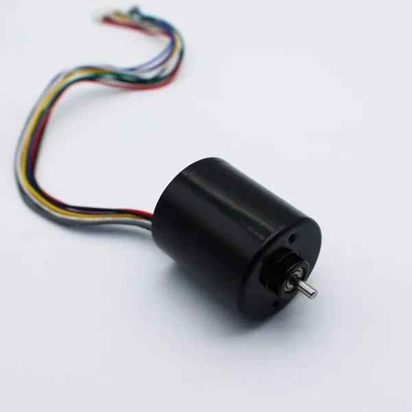 36mm Motor dc 12 Volt Brushless 24V Bldc dc Motor photo-5