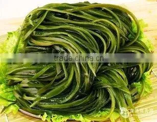 Preserved Kelp Slice