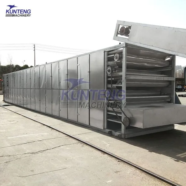 Continuous Mesh Vegetables and Fruits Peanuts Drying Equipment photo-5