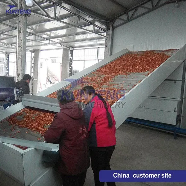 Small Cassava Drying Machine Dehydration for Cassava Slice Vegetable Belt Dryer Machine EPC photo-5