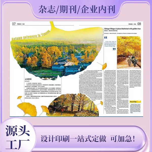 Custom Medical Internal Journal Typesetting Academic Report Printing Custom Product Catalog