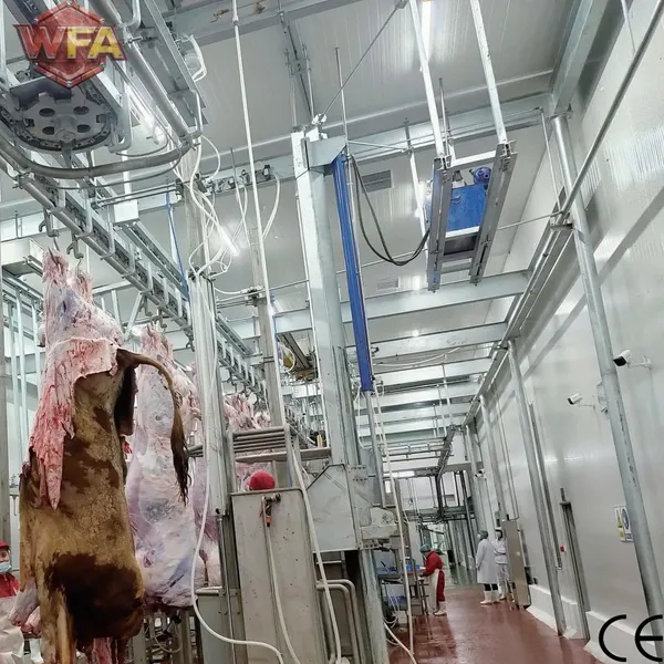 ГАЛАЛ Автоматическая линия убойства крупного рогатого скота. Машина для убойства коров. Полный проект убойства овец. Производство под заказ и установка на заводе