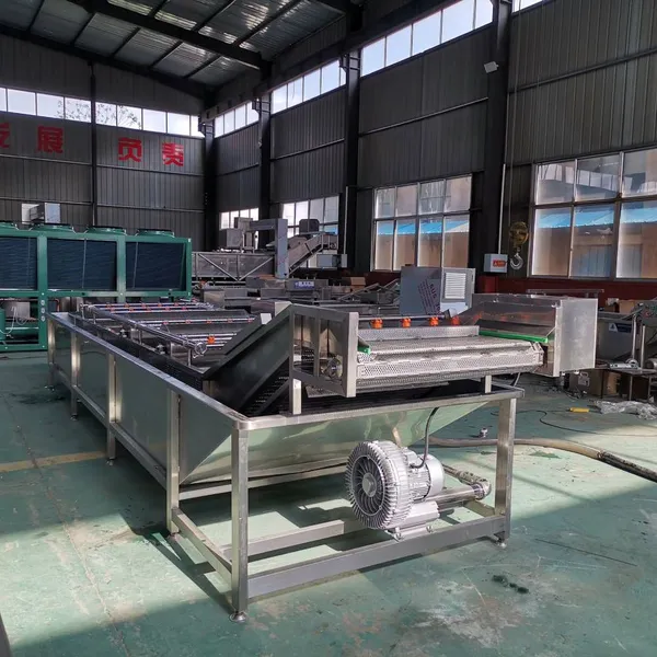 Fully Automatic Large-scale Stainless Steel Bubble Cleaning Machine for Fruits and Vegetables, a Device for Bubble Cleaning, Mud and Impurity Removal photo-3