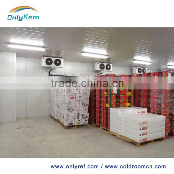 Supermarket Cold/frozen Room for Meat/fish/vegetable photo-5