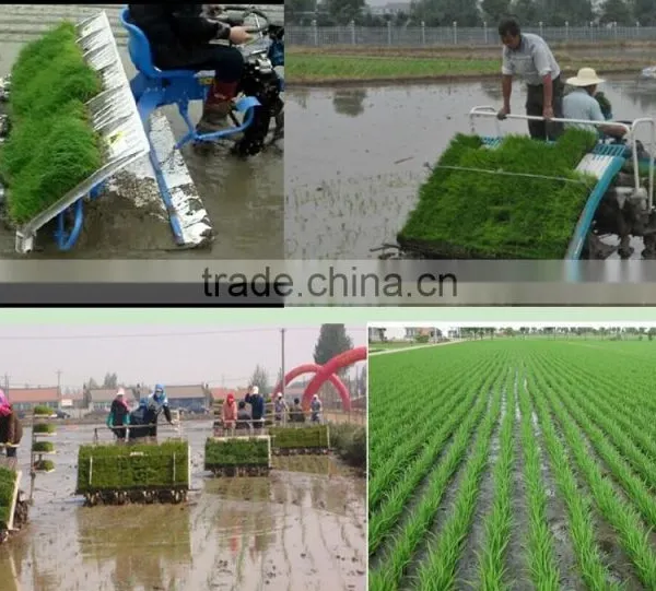 Riding type rice transplanter