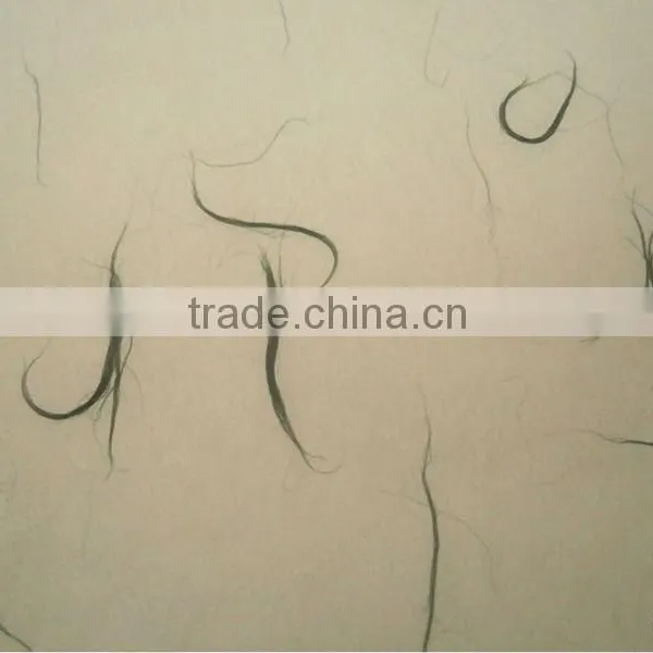 Natural Fibre Paper for Packaging