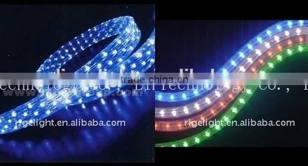 LED flat 2 lines rainbow rope,led holiday light Led decoration lights