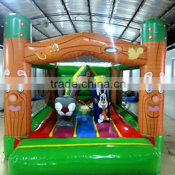 Custome Inflatable Indoor Inflatable Kids Play Jumping House Party Game photo-2