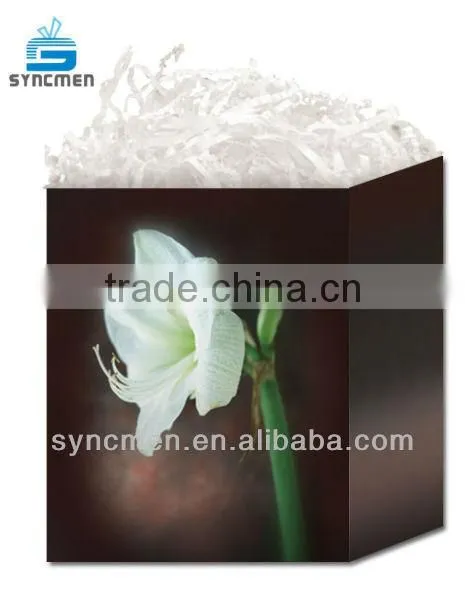 Natural Design Gift Bag, Paper Gift Bag photo-2
