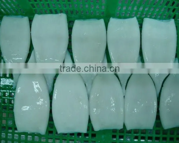 Frozen Squid Tube