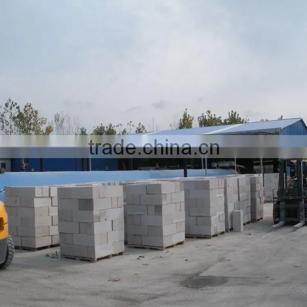 TOP Quality Fully Automatic Aac Autoclaved Aerated Light Weight Concrete Block Machine for Sales - TIANYUAN BRAND photo-5