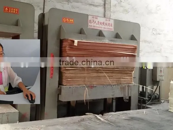 Lamination Hot Press Use Melamine Paper 4x8ft/6x9ft photo-6