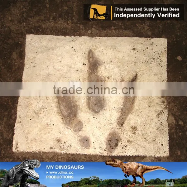 MY Dino-O11 Dinosaur Park Equipment Dinosaur Fossil Excavation Kit photo-3