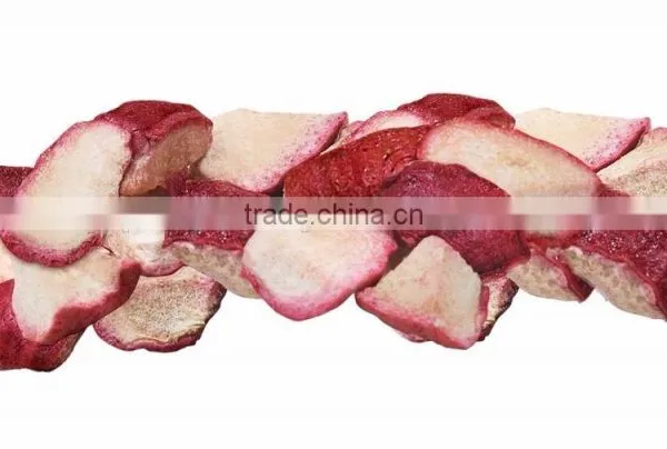 Freeze Dried Rose Apple " Chompoo " Tin Can From Thailand [ High Quality Dried Fruit Snack ] photo-2