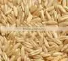 QATS - QUICK COOKING OAT