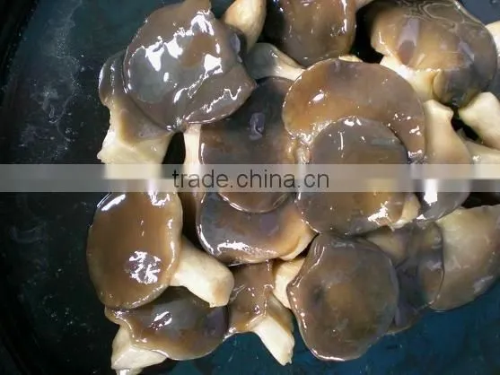 Pickled Oyster Mushroom