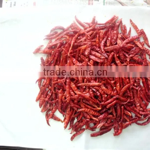 Whole Chilli photo-3