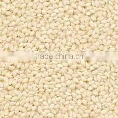 Sesame Seeds Hulled