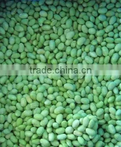 IQF soybean kernel