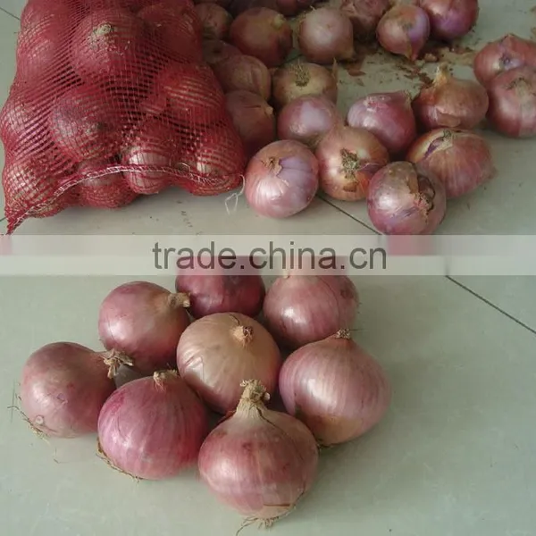 China New Crop Fresh Onion photo-2
