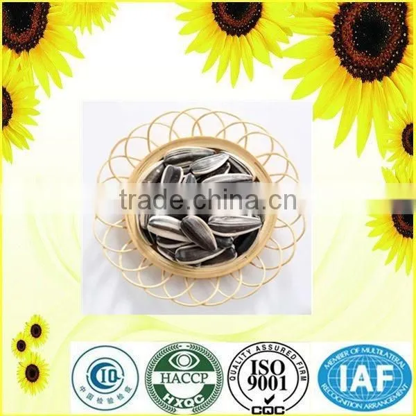 Inner Mongolia Drying Sunflower Seeds With Cheap Price